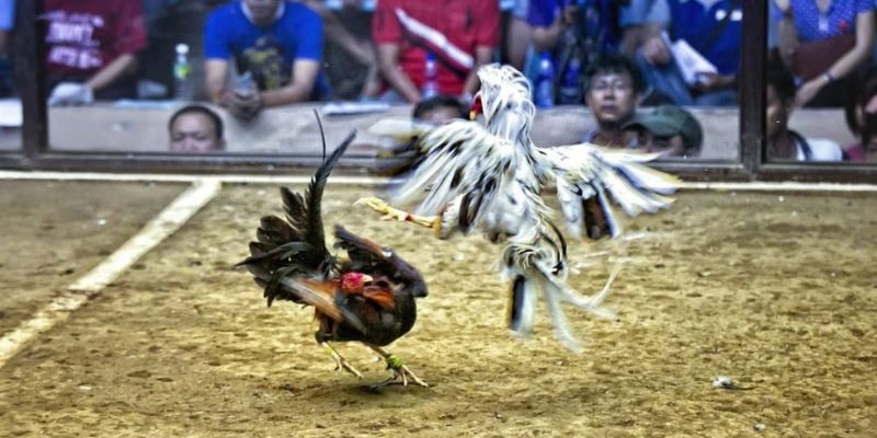 vz99 ﻿đăng nhập lô đề uy tín