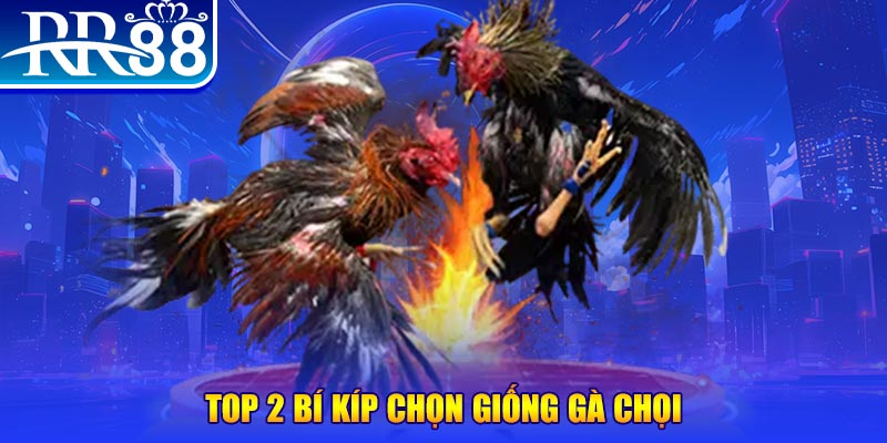 vz99 bắn cá h5