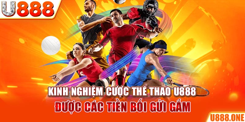 vz99 ÁT CHỦ BÀI GIÀNH LẤY ZHUANG NIUNIU ( XEM 3 LÁ )