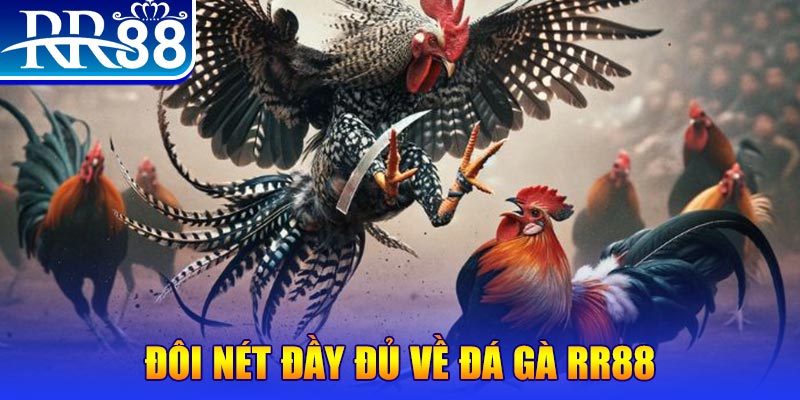 vz99 gà chọi hoà phong