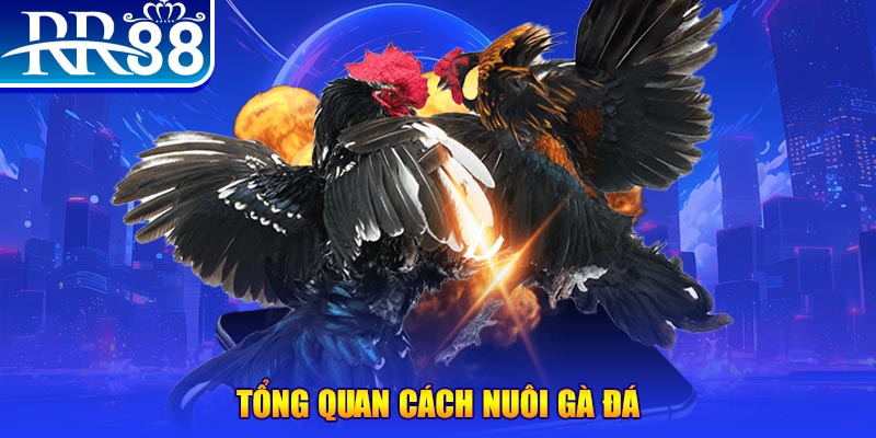 vz99 xổ số thứ ba