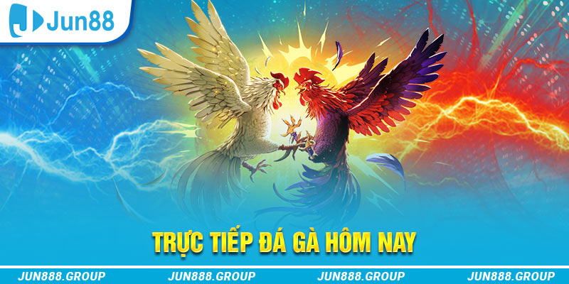 vz99 trực tiếp đá gà thomo