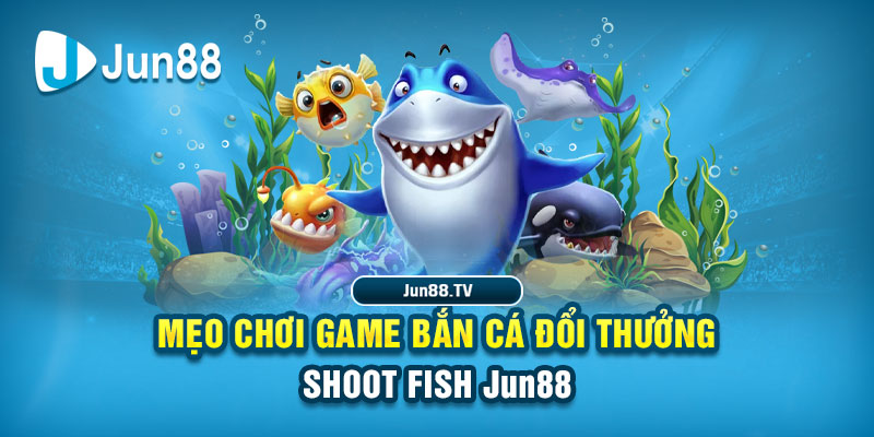 vz99 tải game đánh bài online về máy tính