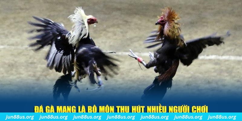 vz99 xổ số long an