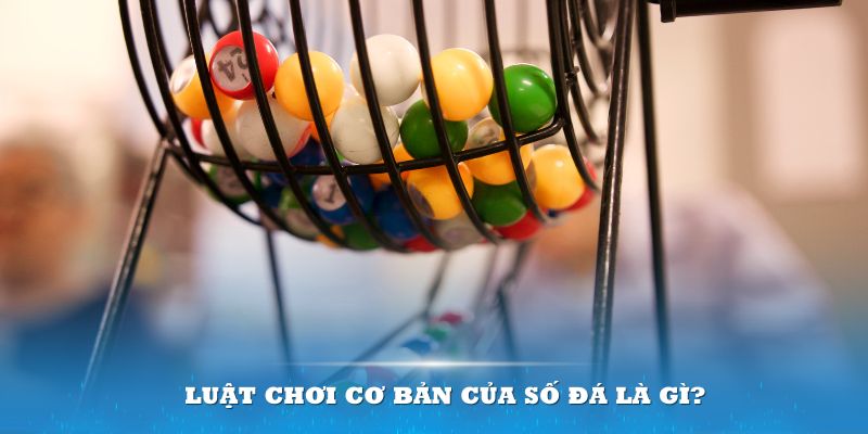 vz99 Đĩa màu ace