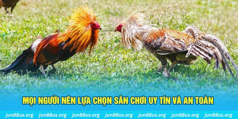 vz99 Tài Xỉu