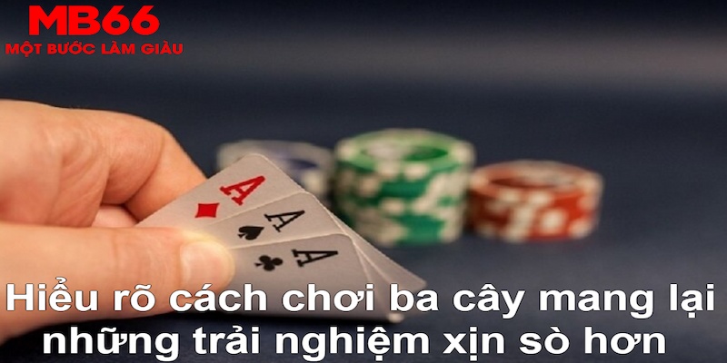 vz99 DB Trực Tuyến