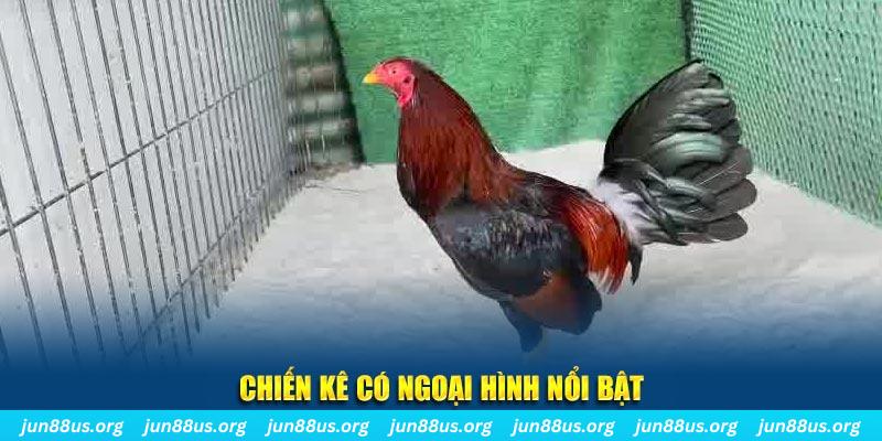 vz99 nhạc slot là gì